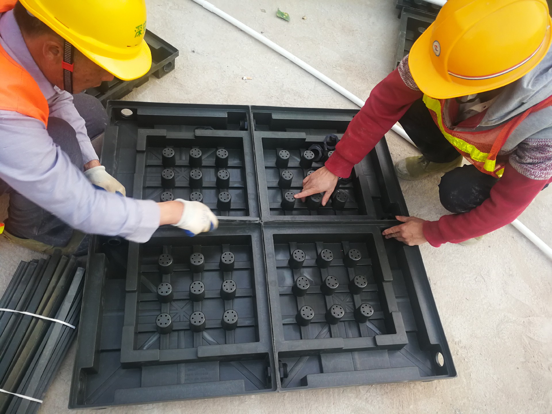 談適合屋頂綠化種植的植物